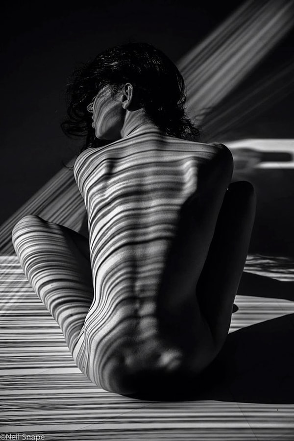 8. Каждый шедевр возникает благодаря простой тени!