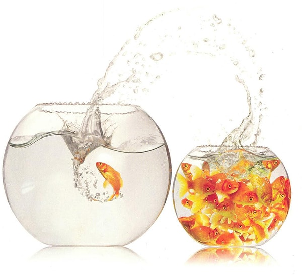 4. Выходить из зоны комфорта