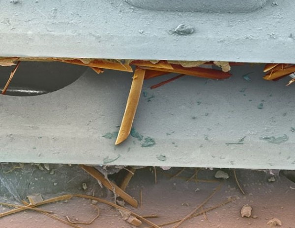 4. Ну ладно вам, не такие уж они и страшные, эти гусеницы. Это-то что такое?