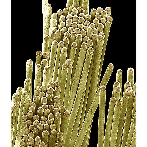 5. Совсем легко. И не вздумайте ошибиться!