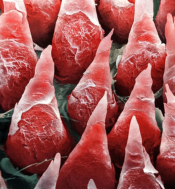 8. А это сможете отгадать?