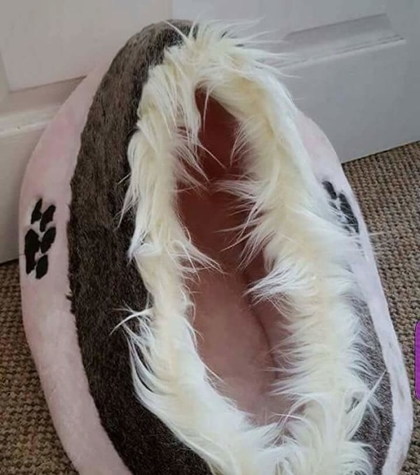 18. Ну, а где еще спать коту, не на полу же