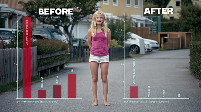 Organik Beslenmek Vücudumuzu Nasıl Değiştiriyor?