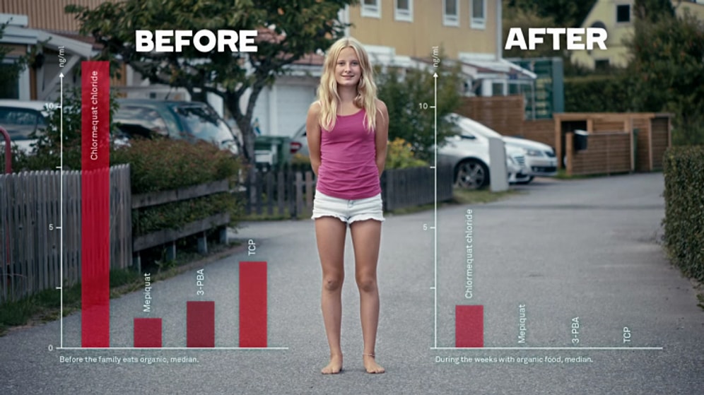 Organik Beslenmek Vücudumuzu Nasıl Değiştiriyor?