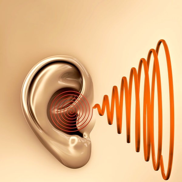 8. Громкие звуки причиняют им дискомфорт