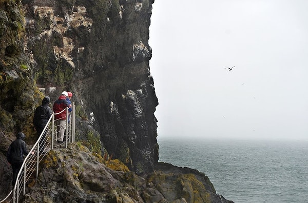 12. Туристы пересекают Gobbins – прибрежную тропу в Антриме, Северная Ирландия