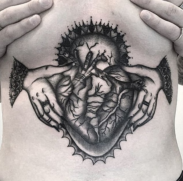 14. Анатомическое сердце