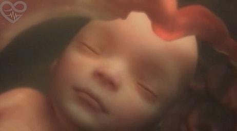 Hayat Gerçekten Bir Mucize! Döllenmeden Doğum Anına Bir İnsanın Anne Karnında Gelişimi