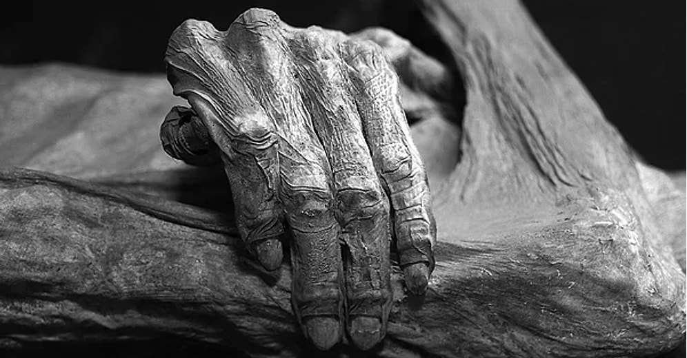 Bilmemeniz Durumunda Bedelini Muhtemelen Ölerek Ödeyeceğiniz 13 Hayat Kurtarıcı Yöntem