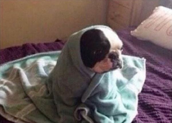 11. А просыпаясь на работу или на учебу, ты еще минут 10 сидишь на краю кровати и залипаешь в пустоту