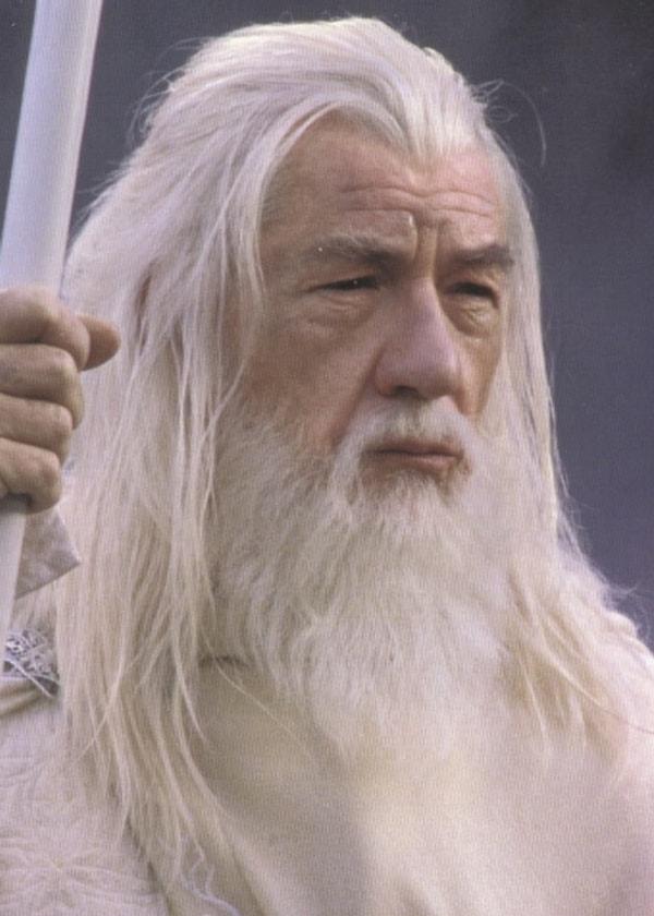 20. Gandalf (Ian McKellen) - Judi Dench