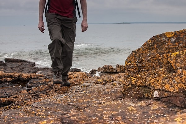 17. Прогулка на природе = 546