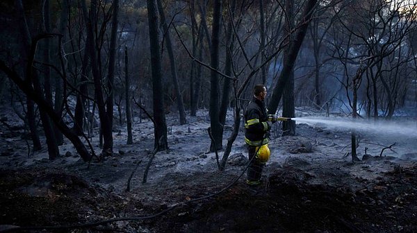 İsrail'de Araplar 'yardıma hazır'