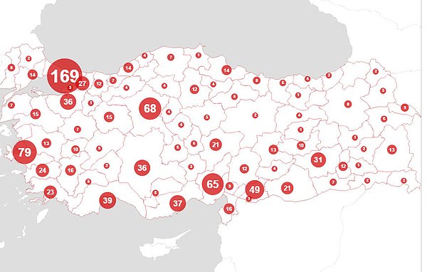 Türkiye’de 2010 - 2015 arasında ise 1134 kadın öldürüldü...