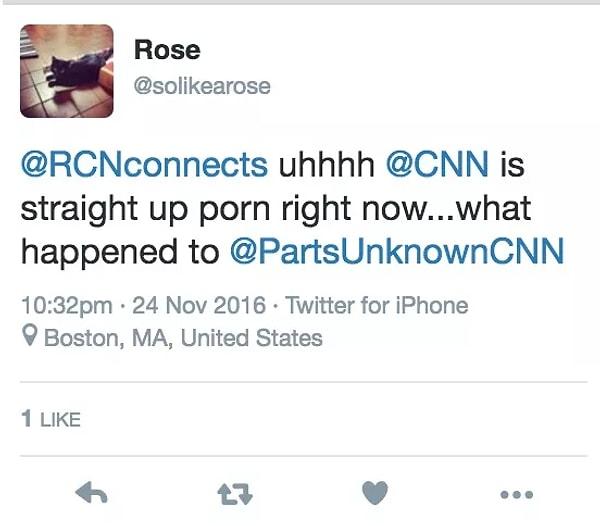 Her şey Twitter’da @solikearose adlı bir kullanıcının attığı bir tweet'le başladı