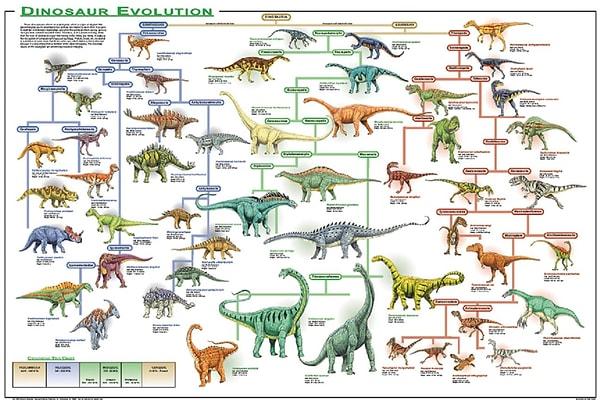 4. Mezozoik Zaman boyunca yaşamış dinozor türlerinin sayısının 1,543 ile 2,468 arasında değiştiği düşünülmektedir.