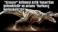 Tarihimizin Korkutucu Yaratıkları Dinozorlar Hakkında Daha Önce Duymadığınız 20 Bilgi
