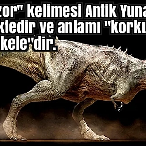 kafiye diger gun yakin dinozorlar hala var mi afmsan com
