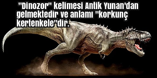 Tarihimizin Korkutucu Yaratıkları Dinozorlar Hakkında Daha Önce Duymadığınız 20 Bilgi