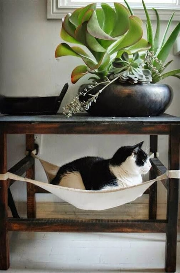 kedi yatağı öneri