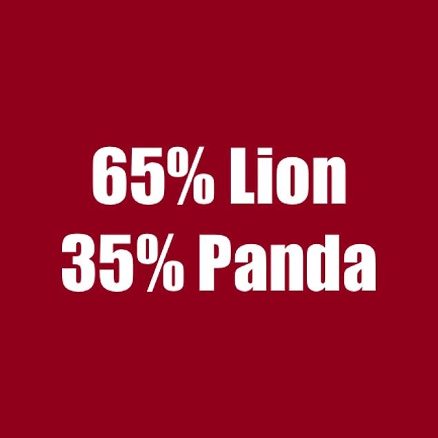 65% Lion 35% Panda!