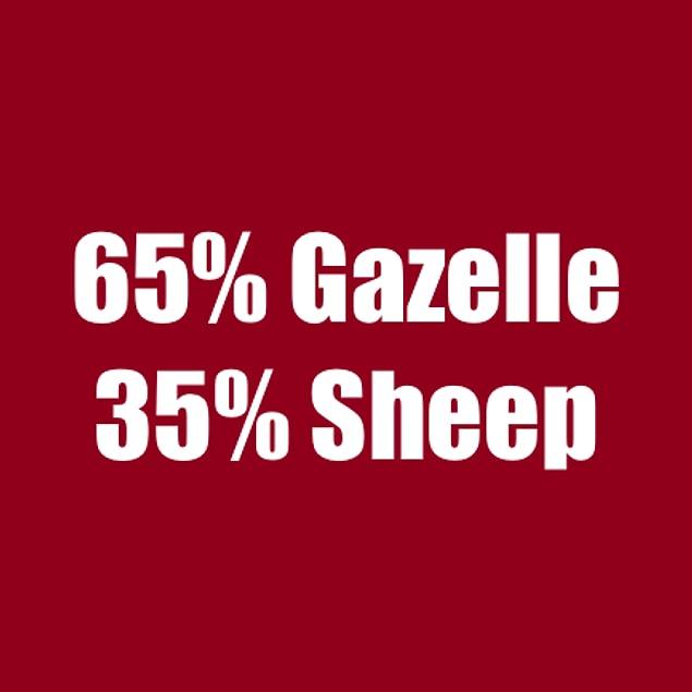 65% Gazelle 35% Sheep!