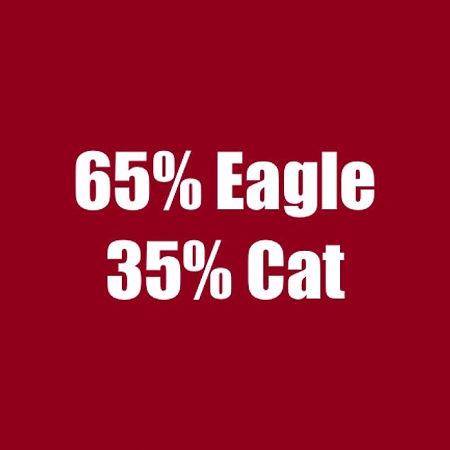 65% Eagle 35%Cat!