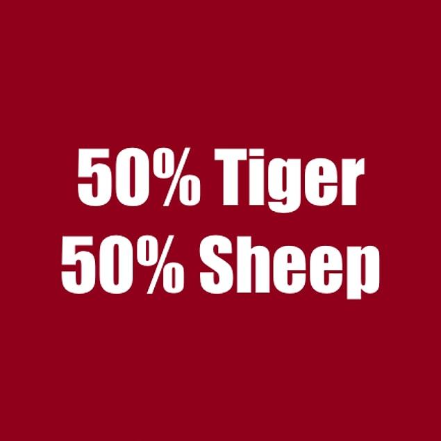 50% Tiger 50% Sheep!