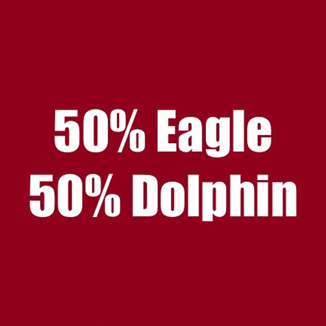 50% Eagle 50% Dolphin!