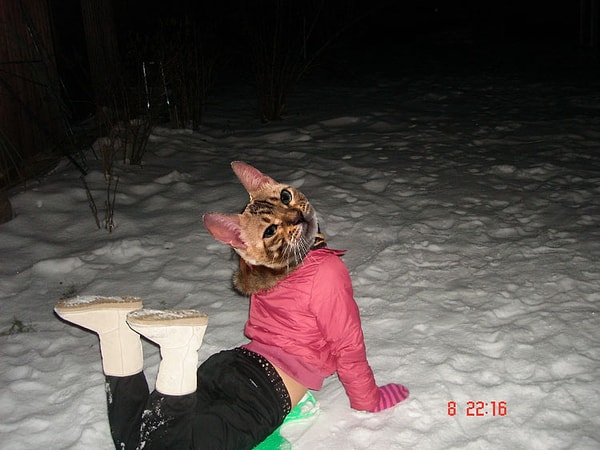 5. Короткие куртки