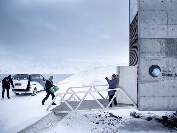 Svalbard'a büyük kutularda gelen tohumlar, güvenlik amacıyla önce X-ray cihazından geçiriliyor.