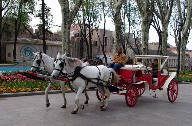3. Riding a horse drawn carriage