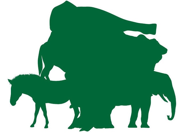 5. How many animals do you see?