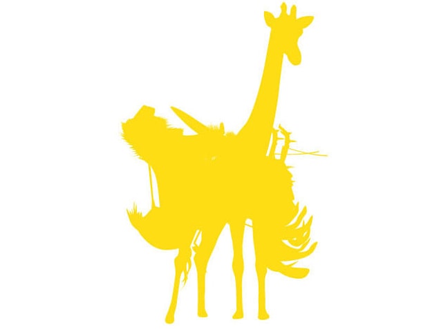 8. How many animals can you see?