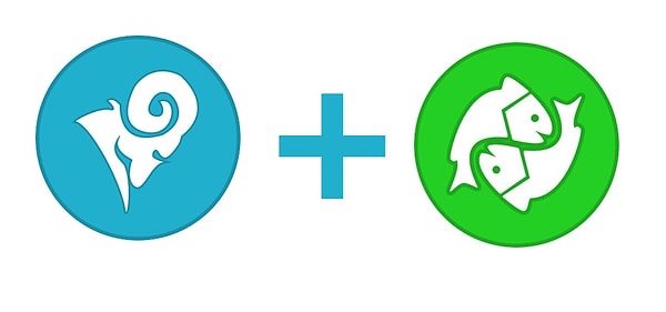 5. Овен и Рыбы