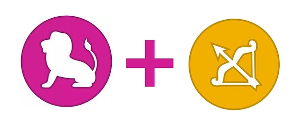 11. Лев и Стрелец