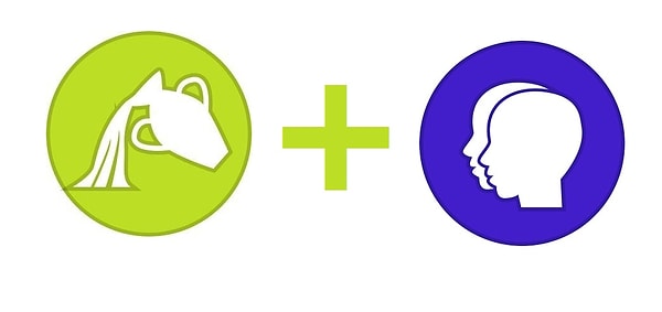 12. Водолей и Близнецы