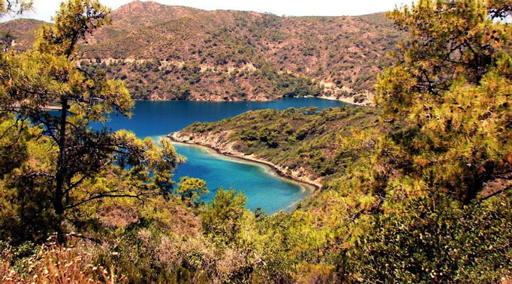 'SİT' Kavramı Tarih Oluyor: Korunacak Alanların Sınırları Yeni Kategorilerle Tekrar  Belirlendi