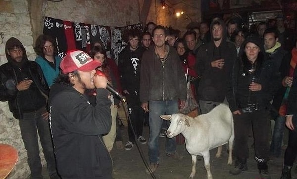 24. В каждом клубе есть своя паршивая овца