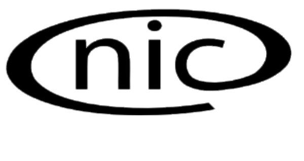 10. OpenNIC DNS