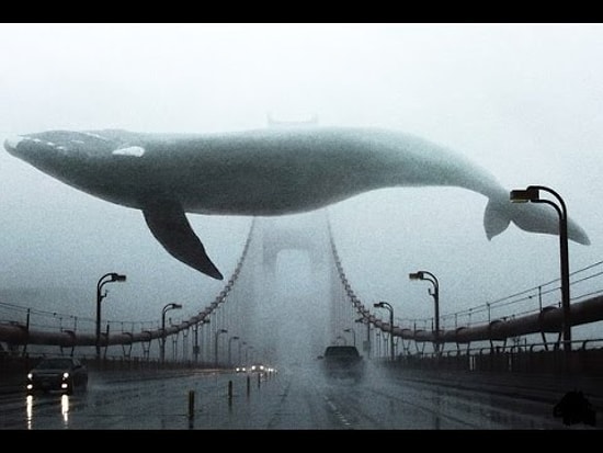 10 самых больших вещей в мире