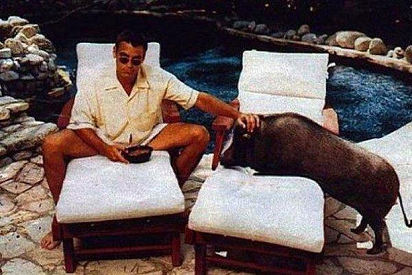 6. Minyatür şirin domuzlar neyse de... George Clooney'nin adeta bir yaban domuzu beslemiş olmasına ne demeli?!