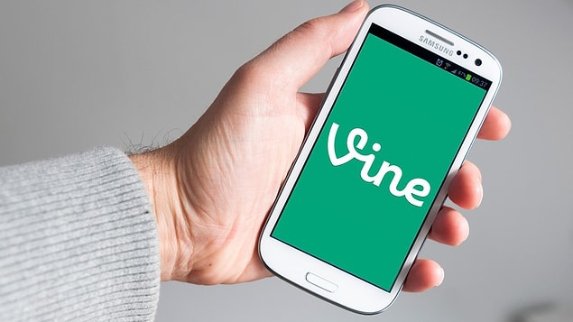 2. Vine