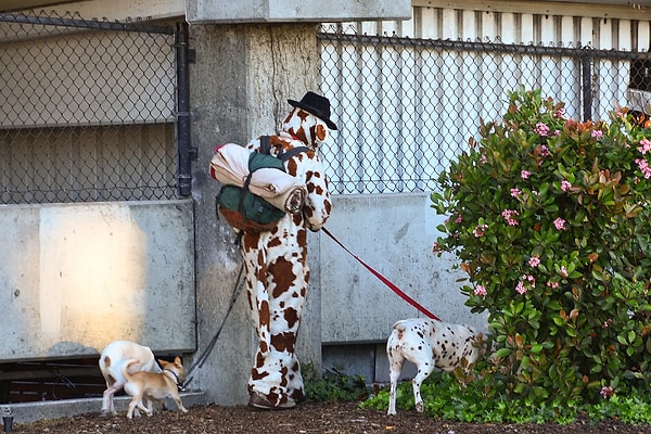 10. Ни в коем случае не стесняйтесь своей второй половинки