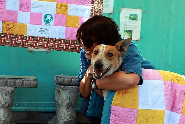 13. Havladığı İçin Diri Diri Gömülen Engelli Sokak Köpeği Lily'nin Hüzün ve Umut Dolu Hikâyesi