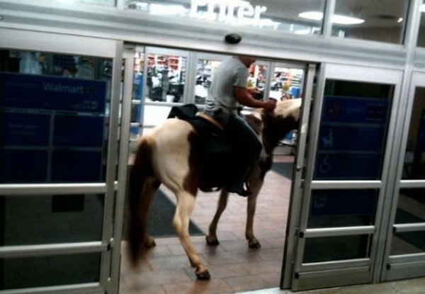 11. Машины отравляют окружающую среду! Ездите в магазин исключительно на лошадях!