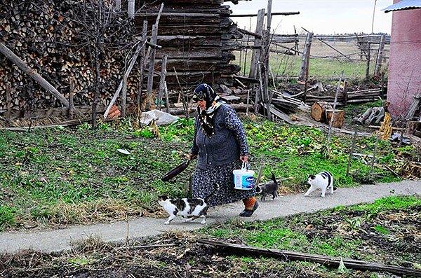 20. Her Gün Elleriyle 20 Kediyi Besleyen ve Onlara Bir Şey Olmasın Diye Köydeki Evinden Ayrılmayan Münevver Akgün
