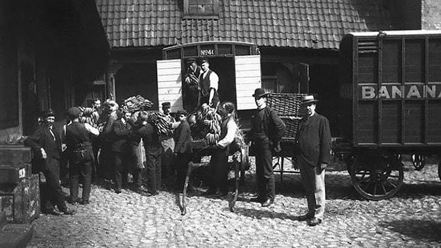 5. Norway Receive Their First Ever Shipment Of Bananas,1905