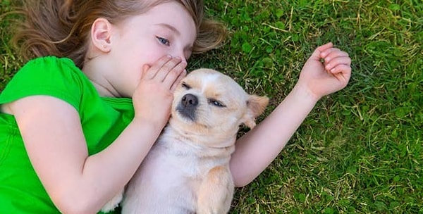 19. Способность понимать язык животных