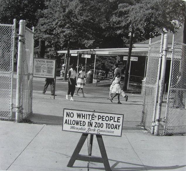 11. Sign placed in front of the Memphis Zoo on Thursday, "Negro day," the only day of the week that African Americans were allowed to visit, 1959.